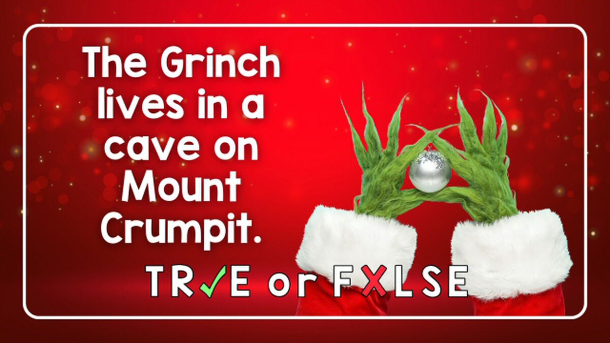 TRUE or FALSE: Christmas Edition! image number null